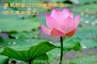 ֹ,󷨵ӹףʦ(25)