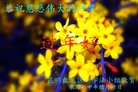 ֹ,ϴ󷨵ӹףʦ(18)
