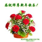 ֹ,󷨵ӹףʦ(29)