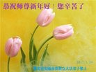 Published on 1/25/2017 ���ֹ�,��½�󷨵��ӹ�ףʦ�������(30��)