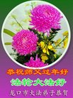 Published on 1/25/2017 ���ֹ�,��½�󷨵��ӹ�ףʦ�������(30��)