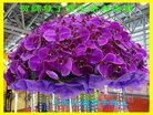 Published on 1/25/2017 ���ֹ�,��½�󷨵��ӹ�ףʦ�������(30��)