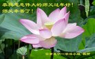 ֹ,ϴ󷨵ӹףʦ(18)