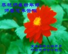 ֹ,ϴ󷨵ӹףʦ(21)