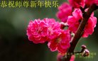 Published on 1/25/2017 ���ֹ�,��½�󷨵��ӹ�ףʦ�������(34��)