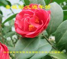 Published on 1/26/2017 ���ֹ�,���������˹�ףʦ�������(25��)