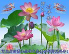 ֹ,żҿڴ󷨵ӹףʦ(24)