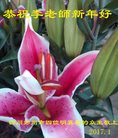 Published on 1/26/2017 ���ֹ�,���������˹�ףʦ�������(25��)