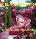 Published on 1/26/2017 ���ֹ�,���������˹�ףʦ�������(25��)