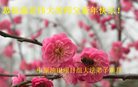 Published on 1/27/2017 ���ֹ�,����ҵ�󷨵��ӹ�ףʦ�������(33��)
