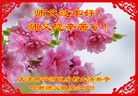 Published on 1/26/2017 ���ֹ�,�й�����ũ��󷨵��Ӹ�лʦ��Ĵȱ��ȶ�