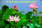 Published on 1/26/2017 ���ֹ�,�й�����ũ��󷨵��Ӹ�лʦ��Ĵȱ��ȶ�