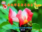 ֹ,󷨵ӹףʦ(25)