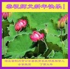 Published on 1/27/2017 ���ֹ�,���Ҿ�������ֹ�����