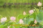 Published on 1/29/2017 ���ֹ�,���ִ󷨺� �󷨵��ӵ�������֪��