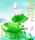Published on 1/25/2017 ���ֹ�,��½�󷨵��ӹ�ףʦ�������(25��)