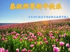 Published on 1/28/2017 ���ֹ�,��½���Ӵ󷨵��ӹ�ףʦ�������(23��)