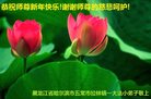 Published on 1/25/2017 ���ֹ�,��½�󷨵��ӹ�ףʦ�������(26��)