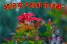 Published on 1/29/2017 ���ֹ�,���ִ󷨺� �󷨵��ӵ�������֪��