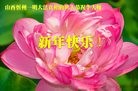 Published on 1/29/2017 ���ֹ�,���ִ󷨺� �󷨵��ӵ�������֪��