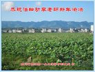 Published on 1/29/2017 ���ֹ�,���������˹�ףʦ�������(27��)