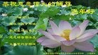 Published on 1/29/2017 ���ֹ�,���֡�ɽ���������������յȵش󷨵��ӹ�ףʦ�������(28��)