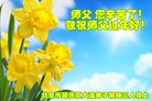 Published on 1/25/2017 ���ֹ�,��½�󷨵��ӹ�ףʦ�������(27��)