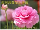 Published on 1/25/2017 ���ֹ�,��½�󷨵��ӹ�ףʦ�������(27��)