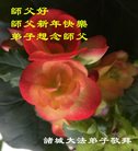 Published on 1/25/2017 ���ֹ�,��½�󷨵��ӹ�ףʦ�������(26��)