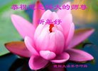 Published on 1/29/2017 ���ֹ�,��½�󷨵��ӹ�ףʦ�������(33��)