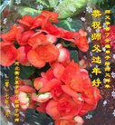 Published on 1/25/2017 ���ֹ�,��½�󷨵��ӹ�ףʦ�������(27��)