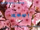 Published on 1/29/2017 ���ֹ�,���֡�ɽ���������������յȵش󷨵��ӹ�ףʦ�������(28��)