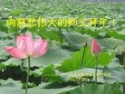 ֹ,󷨵ӹףʦ(26)