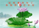 Published on 1/25/2017 ���ֹ�,��½�󷨵��ӹ�ףʦ�������(27��)