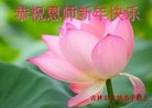 Published on 1/25/2017 ���ֹ�,��½�󷨵��ӹ�ףʦ�������(25��)