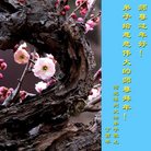 Published on 1/25/2017 ���ֹ�,��½�󷨵��ӹ�ףʦ�������(25��)