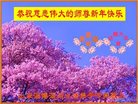 Published on 1/25/2017 ���ֹ�,��½�󷨵��ӹ�ףʦ�������(26��)
