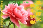 ֹ,ϴ󷨵ӹףʦ(24)
