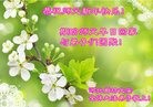 ֹ,ȷ󷨵ӹףʦ(28)