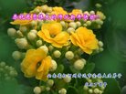 ֹ,ϴ󷨵ӹףʦ(21)