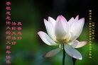 ֹ,ݴ󷨵ӹףʦ(29)