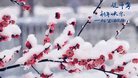 Published on 1/25/2017 ���ֹ�,��½�󷨵��ӹ�ףʦ�������(26��)