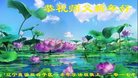 ֹ,̽󷨵ӹףʦ(24)