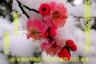 Published on 1/25/2017 ���ֹ�,��½�󷨵��ӹ�ףʦ�������(36��)