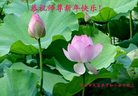 ֹ,󷨵ӹףʦ(28)