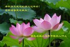 ֹ,󷨵ӹףʦ(28)