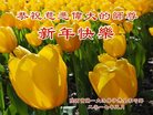 ֹ,󷨵ӹףʦ(27)