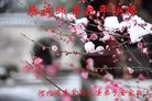 ֹ,ػʵ󷨵ӹףʦ(23)