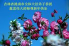Published on 1/26/2017 ���ֹ�,��½�󷨵��ӹ�ףʦ�������(37��)