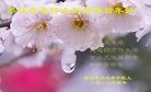 ֹ,󷨵ӹףʦ(30)